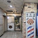 송도멍멍이발소 이미지