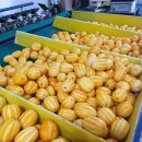 다혜농장 이미지