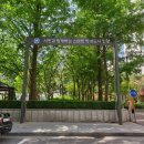 행정용 3 이미지