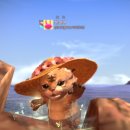 꼬까모자