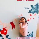 아이레벨트라움벨트 이미지
