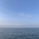 인천바다낚시 배타고 회먹고 라면먹고 체험학습 🐟