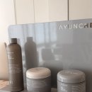 3341 | [한티역미용실] 토니앤가이 대치점에서 톤다운염색한후기 (인호디자이너, 2026 여자염색컬러)