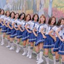 예쁜이모집 이미지