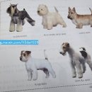 에이스종합학원