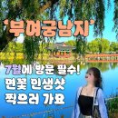 주-003-충혼탑입구2 | 부여궁남지연꽃 7월 인생샷 찐후기 2탄 (포룡정,오리가족,그네)