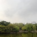창경농장 네이버블로그