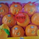 훈이청과 이미지