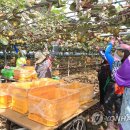 김진근농장 이미지