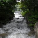 충남 보령 오서산 자연 휴양림에서 이미지