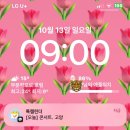 인생 첫 콘서트 관람 후기