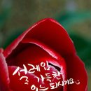 오늘도 Daum카페