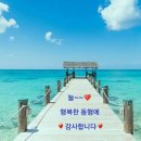 행복한 이미지