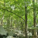 진틀1교 | 광양 백운산 최단코스 (논실 1교-병암산장-정상) &amp; 쑥붕어빵 맛집