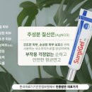 써지코 이미지