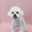 슈멍드아 이미지