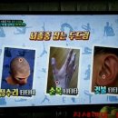 두드림경락 이미지