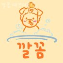 깔꼼 애견미용실 이미지