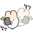 믿음제일