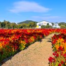 서부농업기술센터 이미지