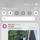 진컬렉숀