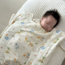 밀면쿨쿨 | 엄마품에 안긴 원리로 모로반사 없이 꿀잠 재워주는 머미쿨쿨 좁쌀이불 후기!