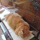 로미한의원 이미지