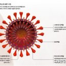 지인소아청소년과의원 이미지
