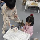 키즈태권도장 이미지