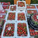 오성상회 이미지