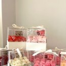 꽃집초이 이미지