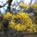 농가월령 이미지