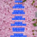 바다에 누워 이미지