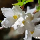 소백산국립공원 북부사무소 이미지