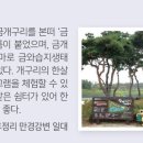 금와습지 생태공원 이미지