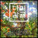 다미농장 이미지