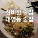 신비한술집 대명동 술집