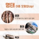 명태사랑 이미지