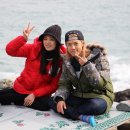 다정한파도