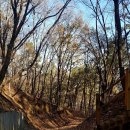 The Heaven 이미지