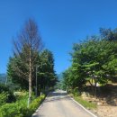 도대2리 마을회관 이미지