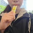 올레PC | 건강한 아침 공복 루틴 올레샷 추천 [맥스컷유기농올레샷베르가못] 후기