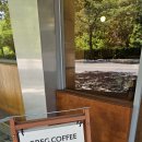 양서초등학교 | [포항 장성동] 조그만 숲뷰 맛집, 그레그커피 투게더☕️