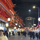 예원가든 | 상하이 여행 :: 예원 야경 | 먹거리 | 남상만두 | 하이디라오 | 고덕지도 주소 링크