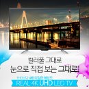 49 이미지