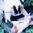 지원덴탈(G1 DENTAL) | 캐나다 영주권자 컬리지 준비하기 5 - 학교 지원