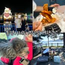 경남 통영 거제도 강아지랑 가볼만한곳 1박2일 여행코스
