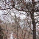 우이감자탕 이미지