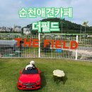 카페THEfield | [순천애견카페] 강아지도 견주도 만족하는 애견카페 #더필드 THE FIELD 300평 천연잔디운동장 있는 곳