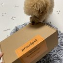 프라우드펫